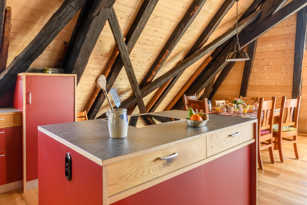 Kochinsel mit Induktionskochfeld, im Hintergrund Kühlschrank und Esstisch