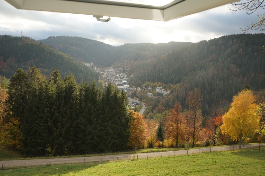Aussicht auf Triberg aus dem Dachfenster der Ferienwohnung