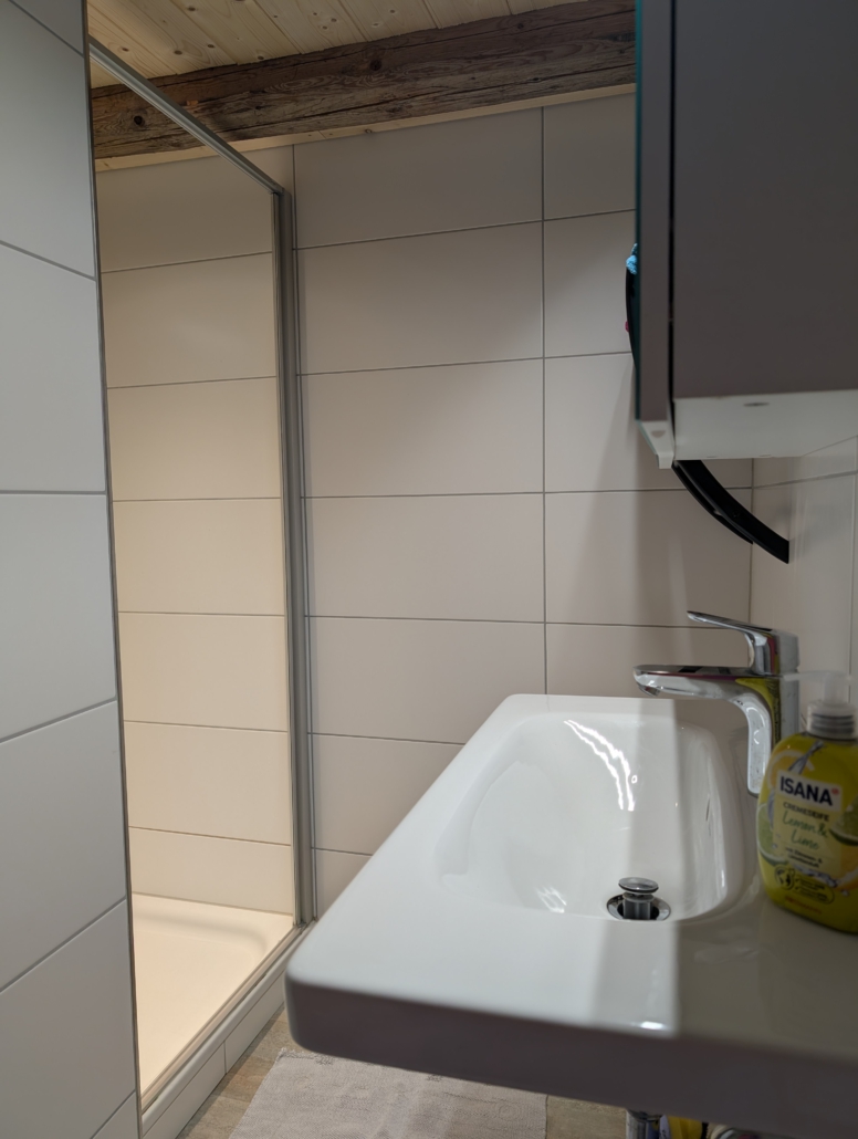 Badezimmer mit Waschtisch und Eingang zur Dusche